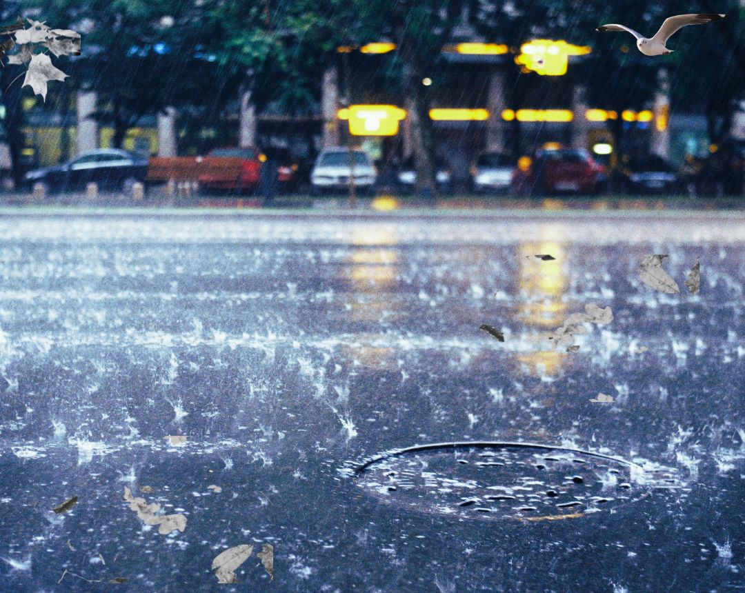 Foto de contaminación - Las precipitaciones torrenciales registradas recientemente —más de 230 litros por metro cuadrado— han provocado anegamientos en zonas urbanas y el arrastre de desechos, lo que podría haber comprometido la calidad del suelo en áreas residenciales y agrícolas.