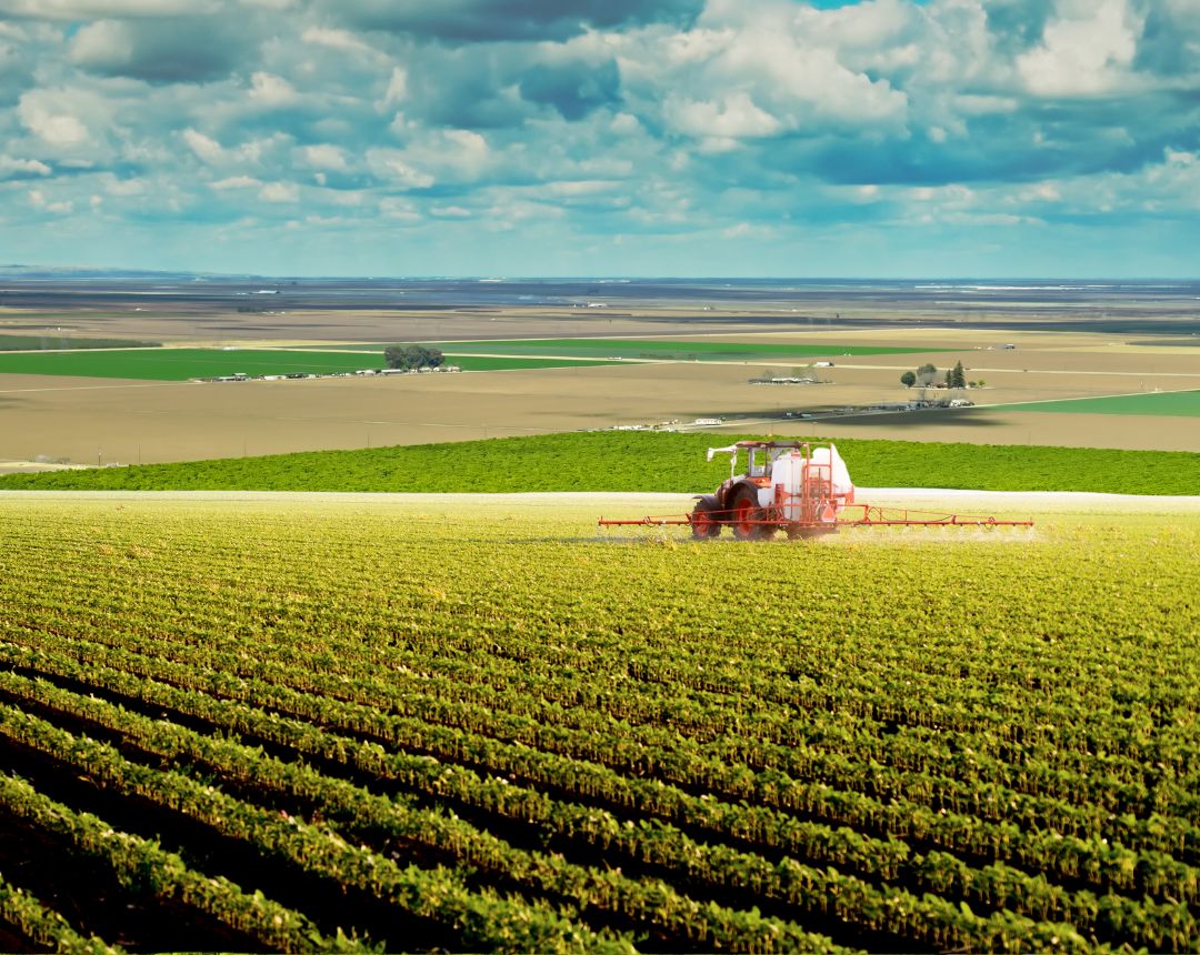 Foto de contaminación - Origen: Aplicación masiva de agroquímicos y compuestos fertilizantes.
Consecuencia: Presencia de nitratos contaminantes, disminución de la variedad microbiana del sue
Alerta: Investigaciones actuales revelan concentraciones altas de polución en aguas subterráneas.
