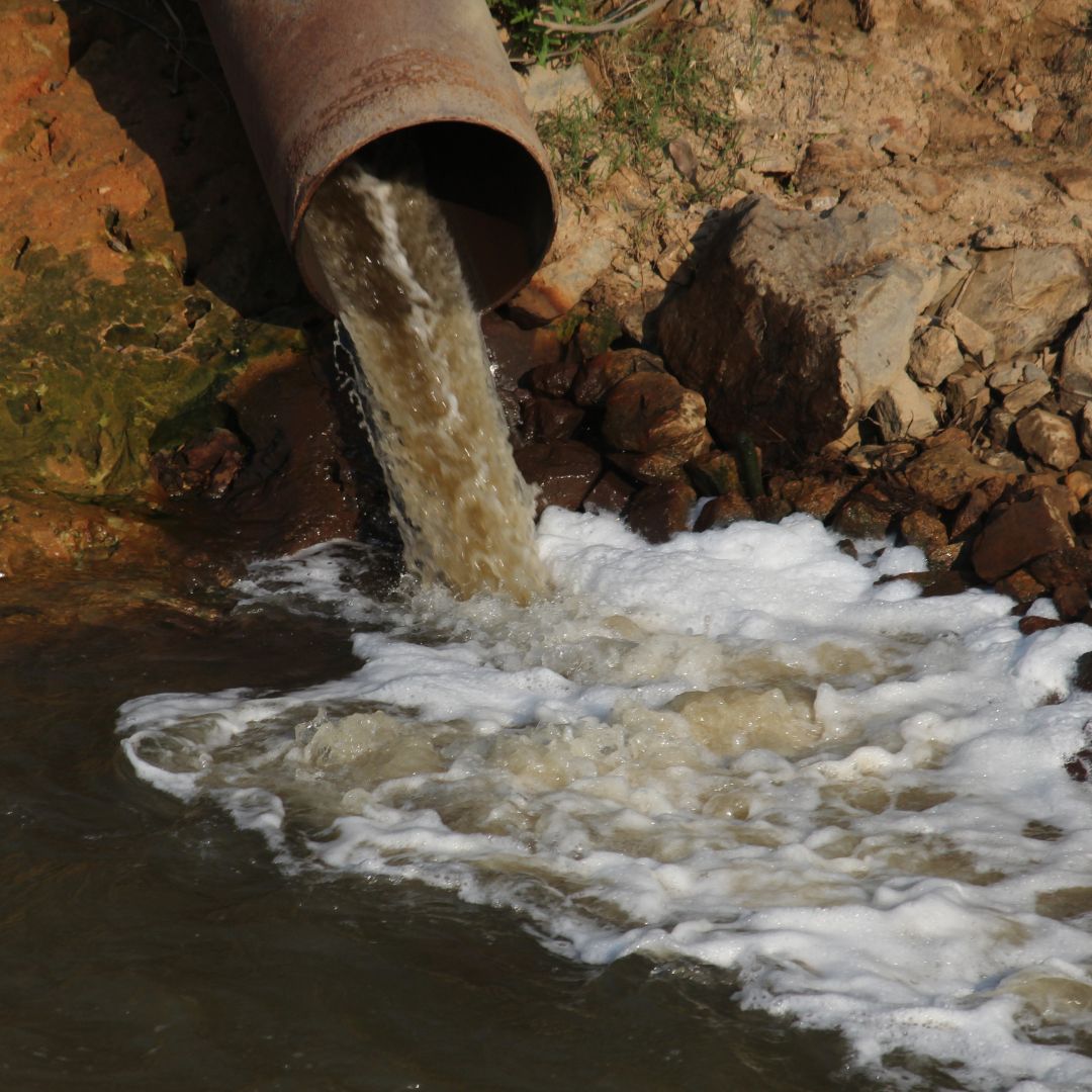 Foto de contaminación - En este río se sigue degradando por los vertidos de las poblaciones, pero sobre todo por la esconrrentía agrícola con fertilizantes y pesticidas.