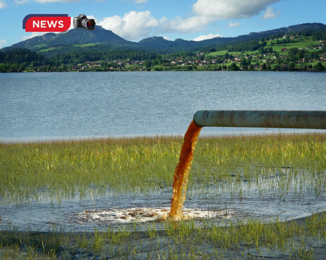 Foto de contaminación - Vertidos industriales y urbanos. Afectan especialmente a ríos como: Segura - Guadalquivir - Llobregat
Se han detectado niveles elevados de nitratos y metales pesados.