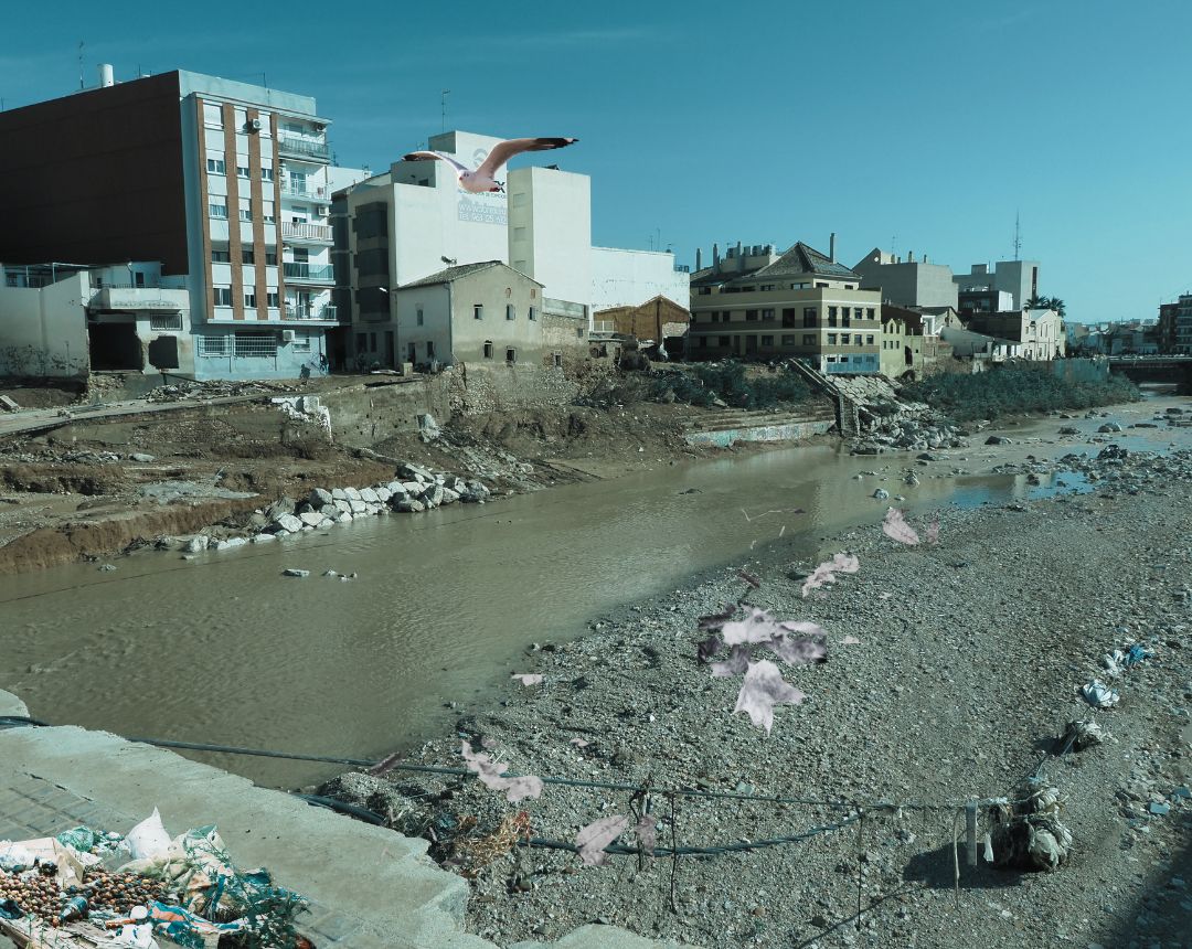 Foto de contaminación - Áreas industriales del litoral mediterráneo:
Las lluvias abundantes registradas en regiones como Valencia y Tarragona podrían haber desplazado sustancias contaminantes desde complejos industriales hacia terrenos adyacentes, aunque por el momento no se han identificado puntos concretos de afectación.