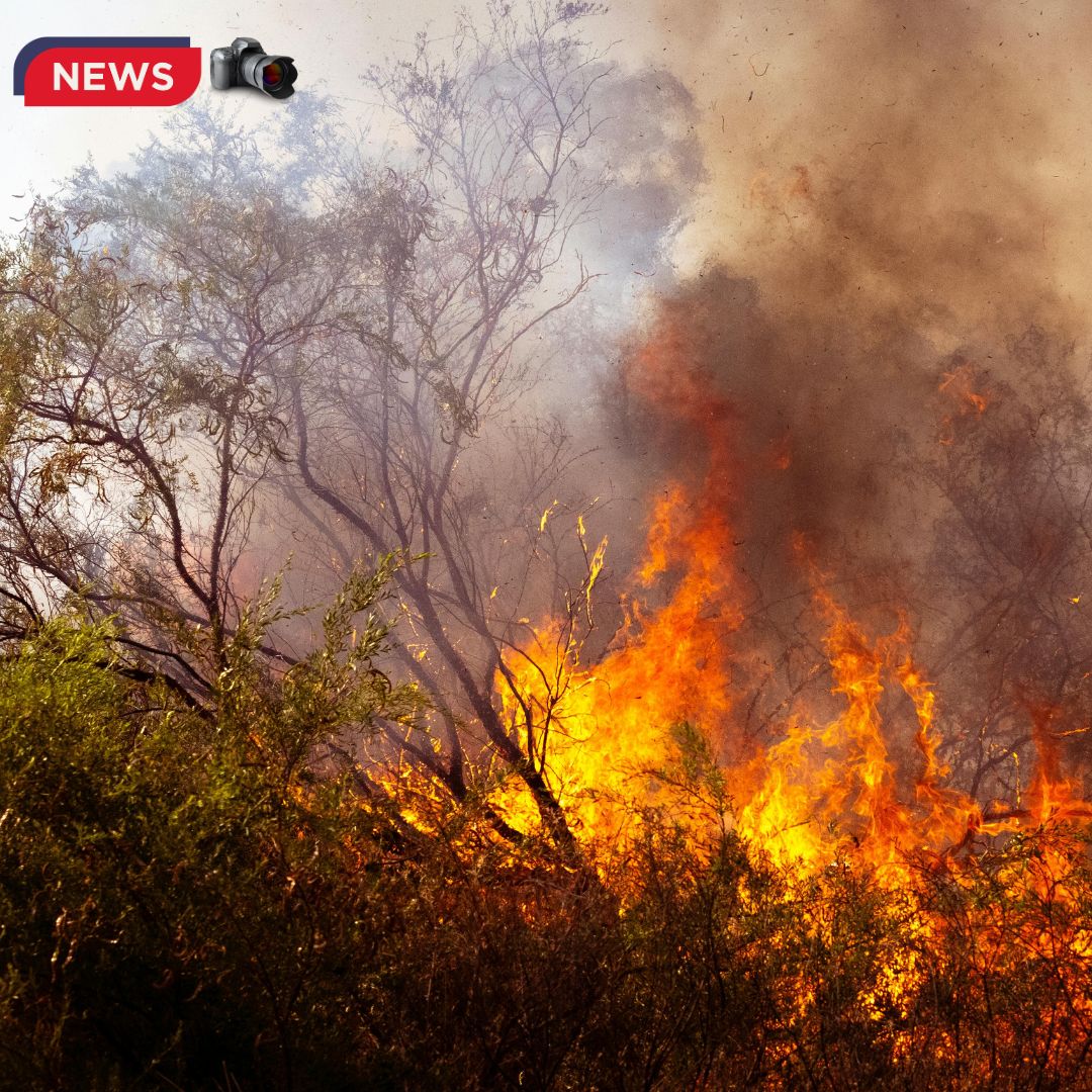 Foto de contaminación - Los incendios sin freno en Galicia, Castilla y León.  Alerta total