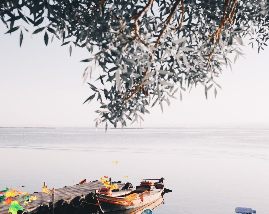 Foto de contaminación - Se han concentrado grandes cantidades de desechos en vías urbanas, barrancos y canales de agua. En el Espacio Natural de La Albufera, más de 155.000 metros cuadrados han sido afectados por materiales orgánicos, plásticos, sedimentos y desperdicios de origen industrial.